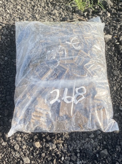 1 Bag of Buckles