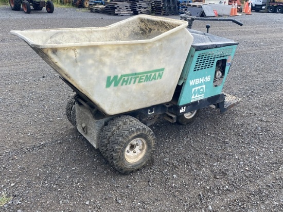 Georgia Buggy Whiteman WBH-16