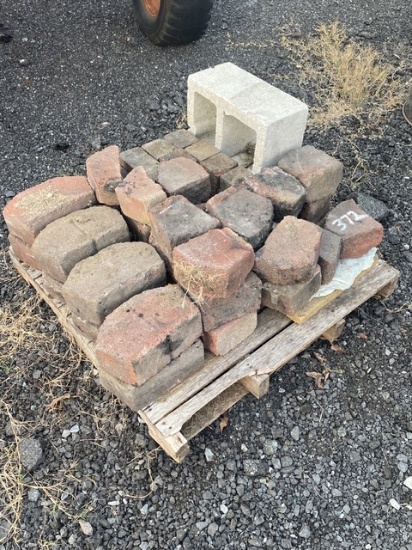 Miscellaneous Bricks and Pavers