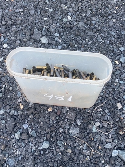 Bullet Shells