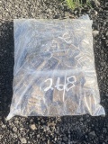 1 Bag of Buckles