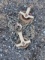 Antique Chain Pulley System