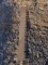 Antique Saw Blade