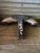Hitch Step