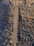 Antique Saw Blade