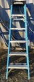 Werner Aluminum 6’ Ladder