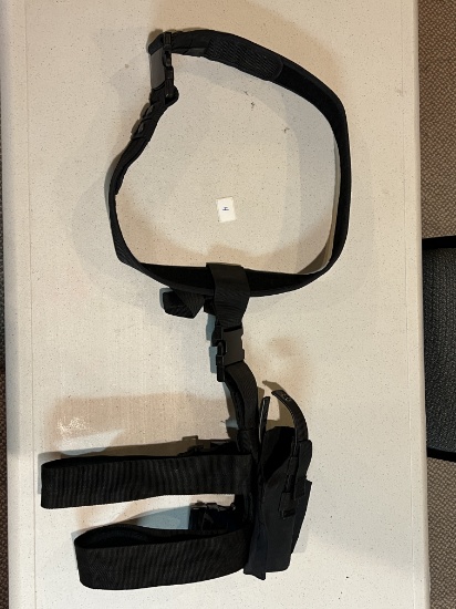 Gun holster with waist strap
