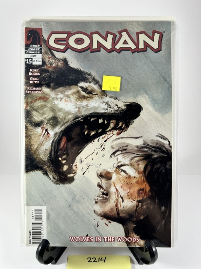 Conan #15: Wolves in the Woods -  - Dark Horse Comics (Kurt Busiek Greg Ruth Richard Starkin