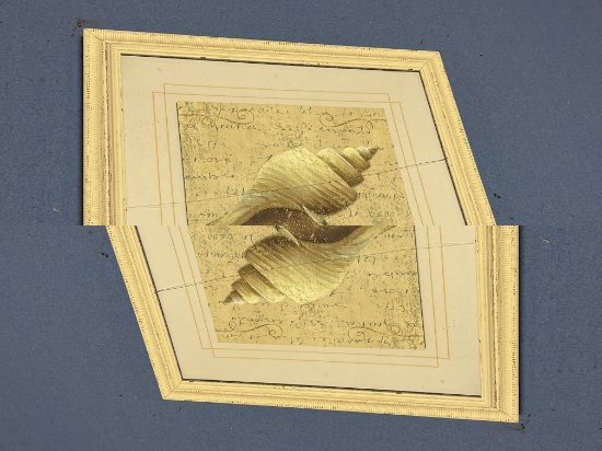 Framed art  - Seashell