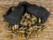 45 ACP MIXED