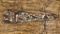 RIFLE SCABBORD