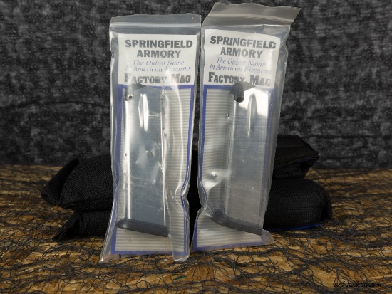 SPRINGFIELD XD40