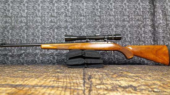 RUGER  77/22