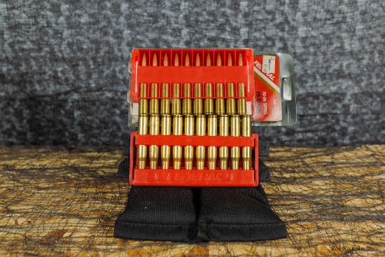 FEDERAL 30-06
