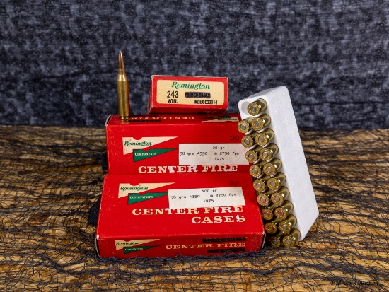 REMINGTON 243