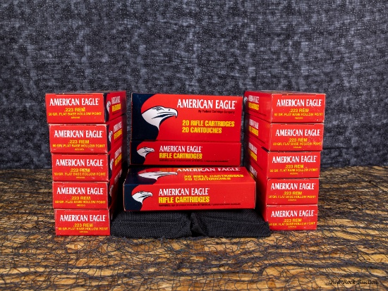 AMERICAN EAGLE 223