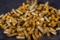 44 SPECIAL BRASS