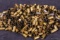45 ACP BRASS