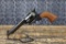 RUGER VAQUERO
