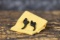 SIG P220 TRIGGER