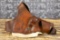 GEORGE LAWRENCE CO SHOULDER HOLSTER