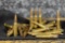 308 AMMUNITION
