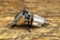 SW BARREL AND CYLINDER