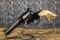 RUGER NEW BLACKHAWK