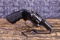 RUGER POLICE SERVICE SIX