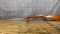 WINCHESTER 67