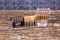 45ACP AMMO