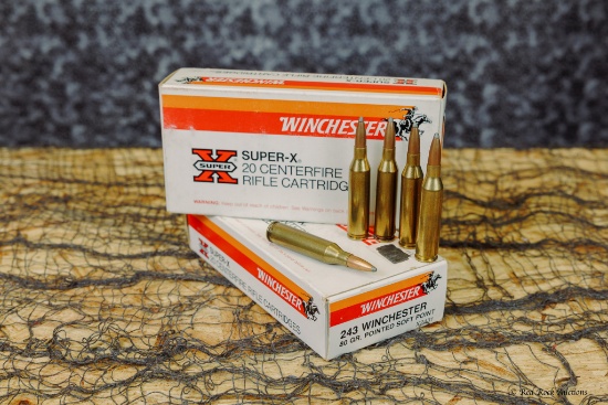 WINCHESTER 243