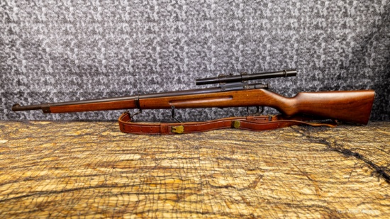 SAVAGE 19