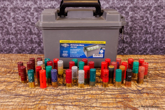 12GA AMMO