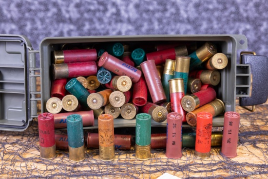12GA AMMO
