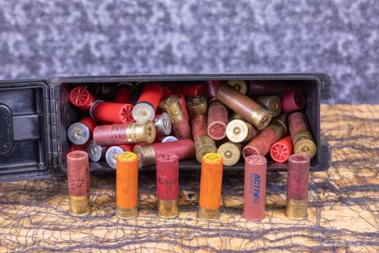 12GA AMMO