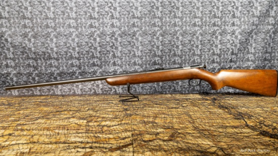 WINCHESTER 67