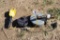 Lot of 2: Drop Light Reels