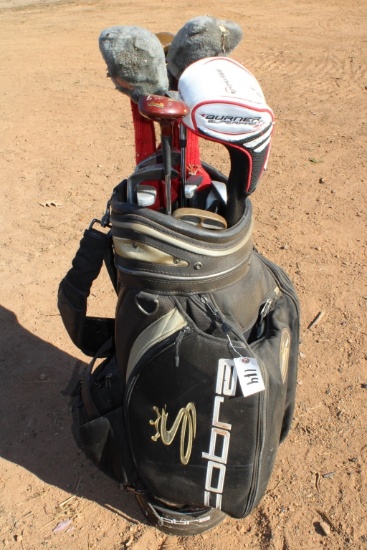 Cobra Golf Set