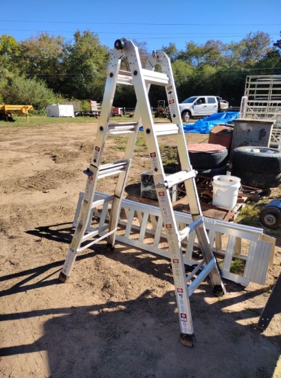 Gorilla Folding Ladder