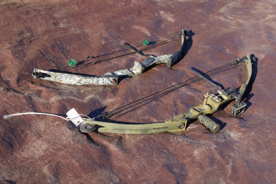 (2) Compound Bows