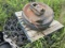 UNUSED ITR Hitachi ZX800 Undercarriage 16 Rollers, (2)Chains, (2)Front Idlers, (2) Sprockets