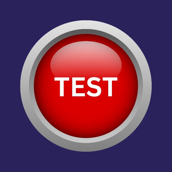 TEST YOUR BID BUTTON