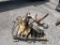 Pallet of Pipe Clamps