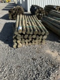4in Treated Posts by Day-Bundle