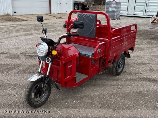 IRET13 Electric Tricycle