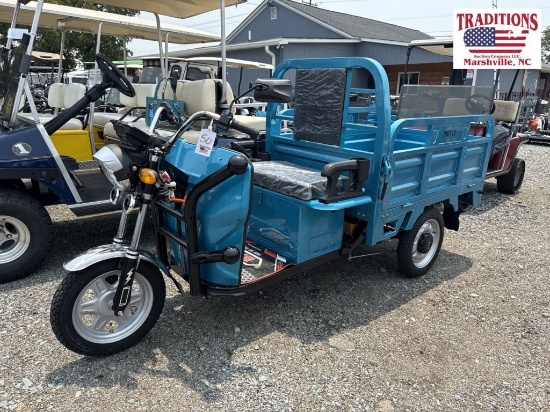 IRET13 Electric Tricycle