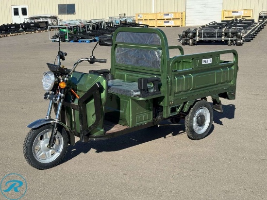 IRET13 Electric Tricycle