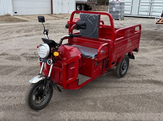 IRET13 Electric Tricycle