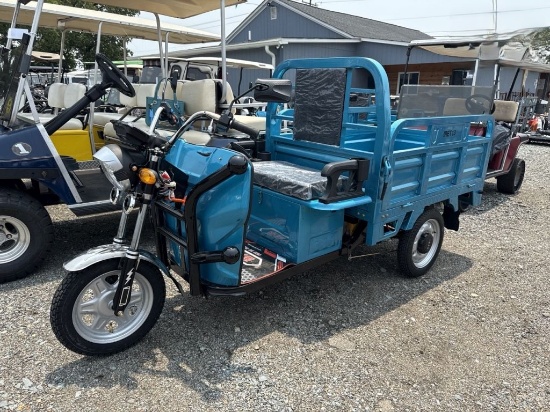 IRET13 Electric Tricycle